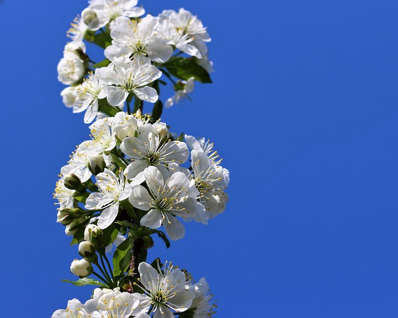 投稿についてもっと詳しく 4月のオーディオ